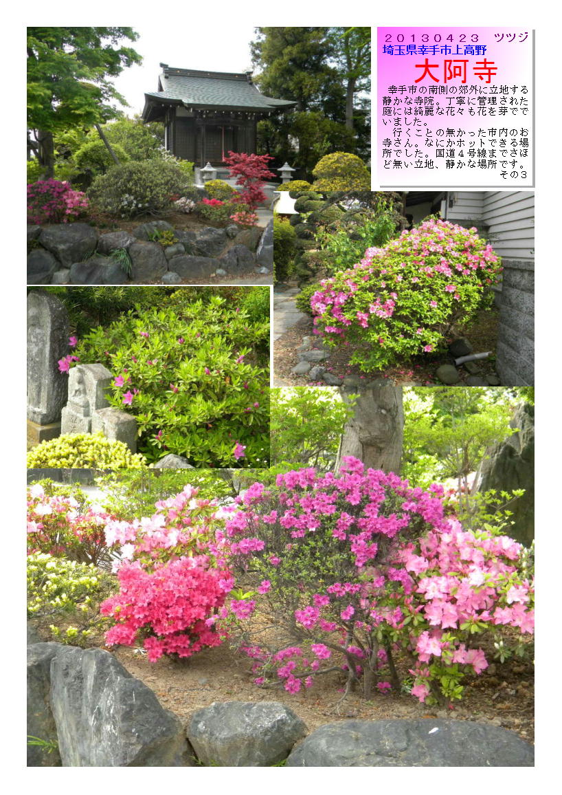 20130423sattedaiaz31-tutuzi.jpg