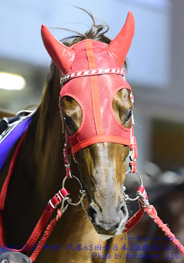 08PartyMaker121714Kw11R_01