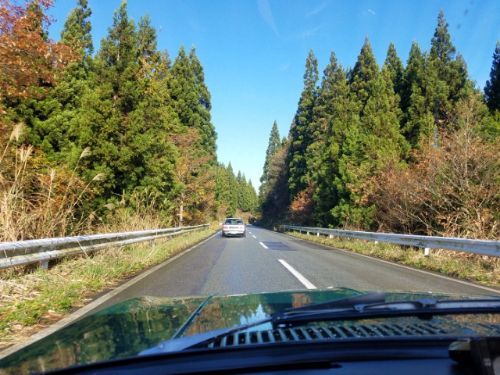 rblog-20181118221355-04.jpg