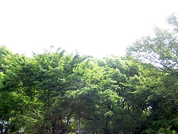 120508_100231.jpg