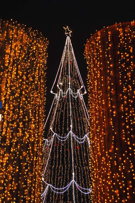 光の饗宴・クリスマス_004.jpg