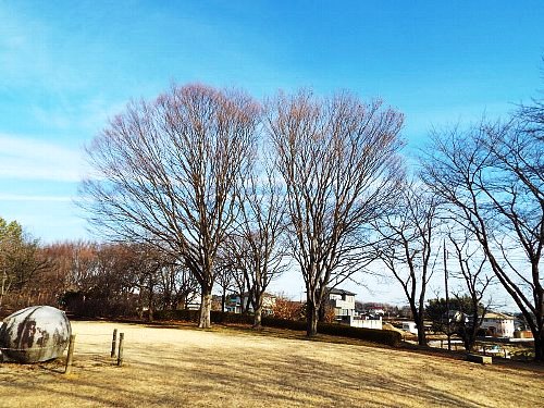 sora-2015-02-07-7-b.jpg