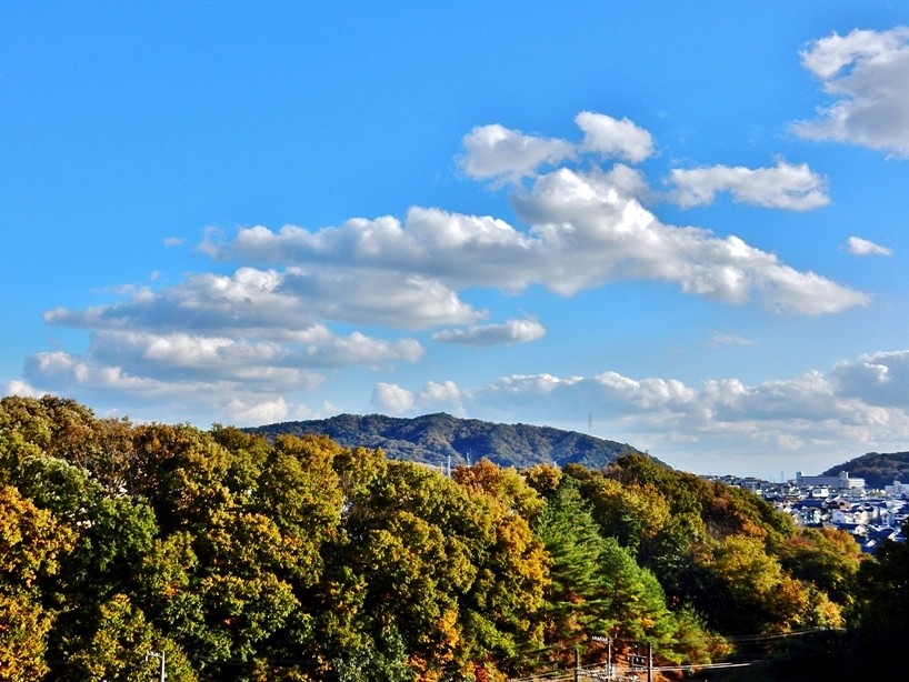 空5.JPG