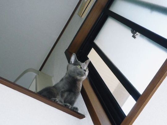 2014年11月07日_P1200933.jpg