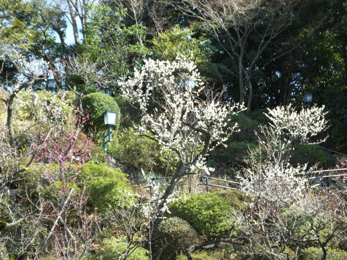 池上梅園