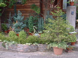 img_659602_9615082_0(1).jpg