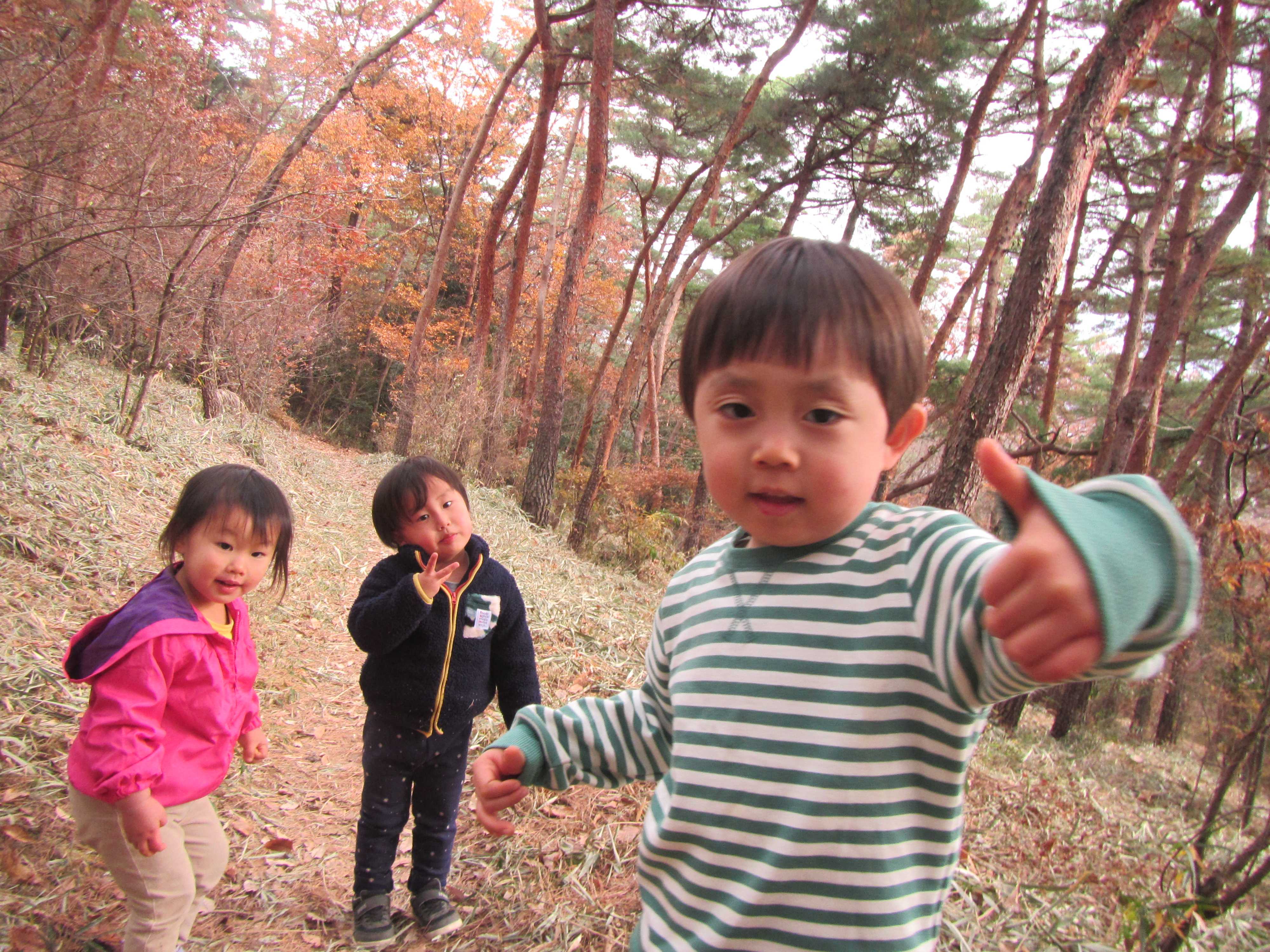 金山登山 | 認定こども園 アプリコット保育園 - 楽天ブログ