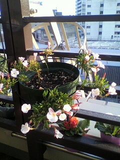 2013012016430000.jpg