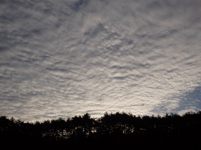 P1210056.JPG