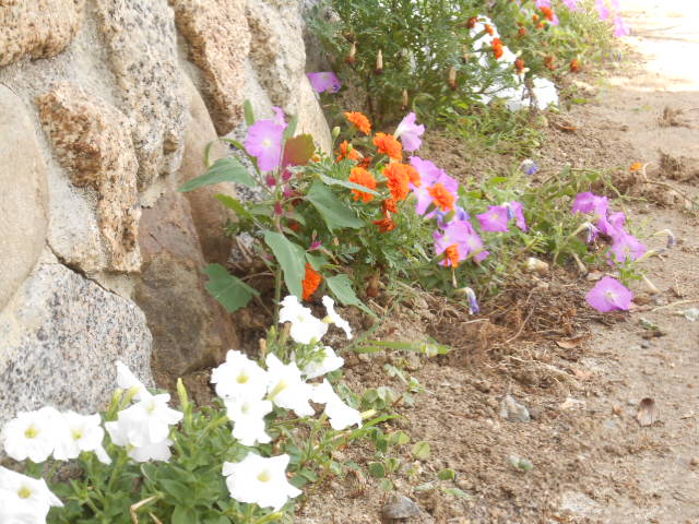 DSCN0379.JPG