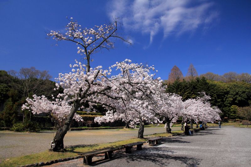 万博記念公園_002迎賓館前広場.jpg