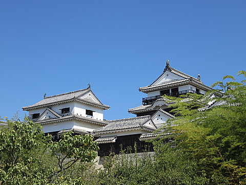 IMG_5775.jpg