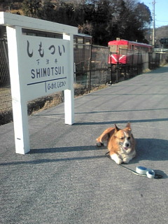 20140303163615.jpg