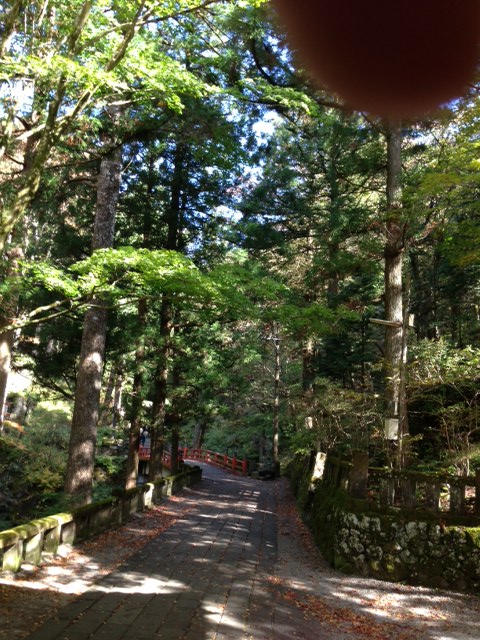 h20121029harunajinjasandou.jpeg