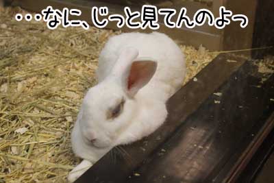 夜１４.JPG