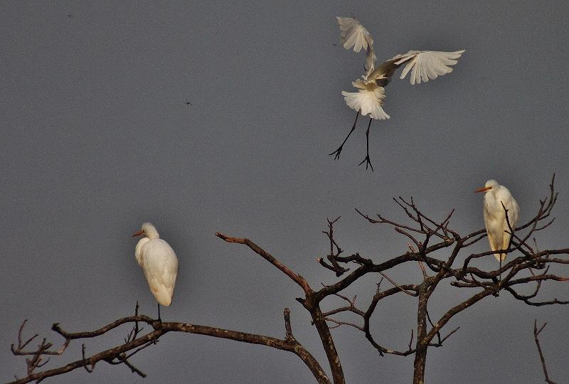 IMG_5486 (800x540).jpg