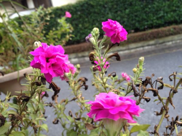rblog-20140721212629-02.jpg