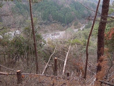 DSCN2684s.jpg