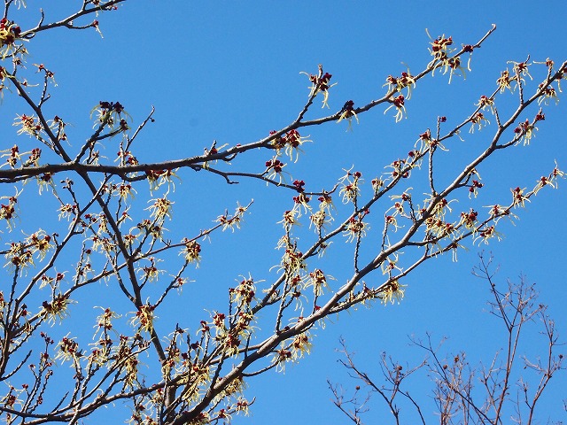 s-p1226.jpg