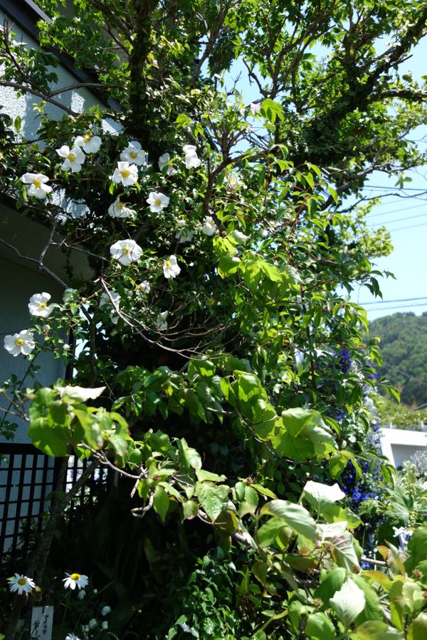 rblog-20180504205240-06.jpg