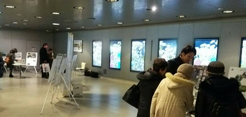 ジオパネル展３