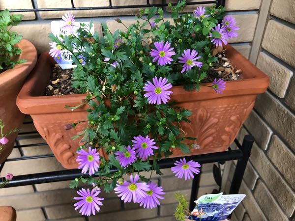 rblog-20190426181233-09.jpg