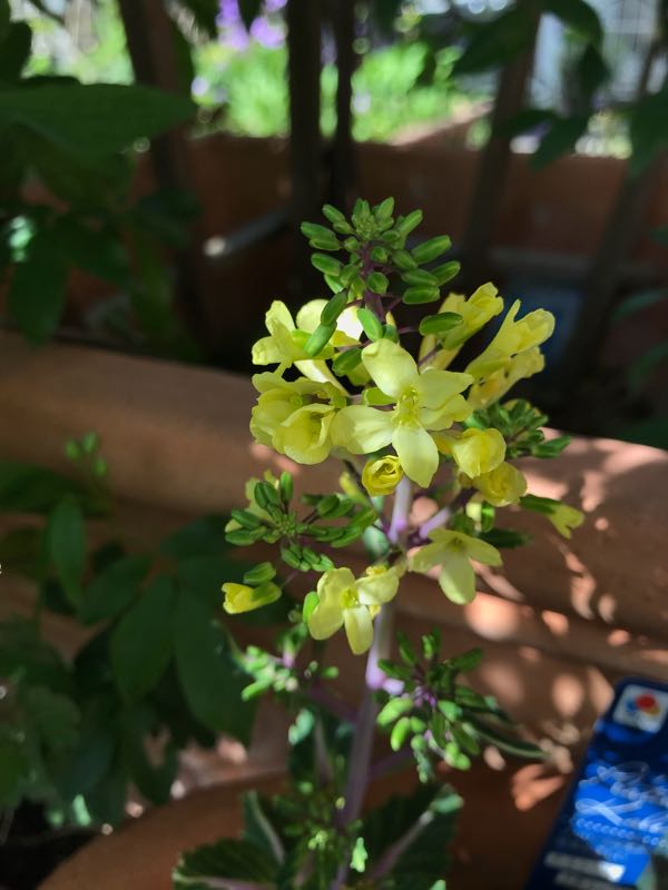 rblog-20180408162606-08.jpg