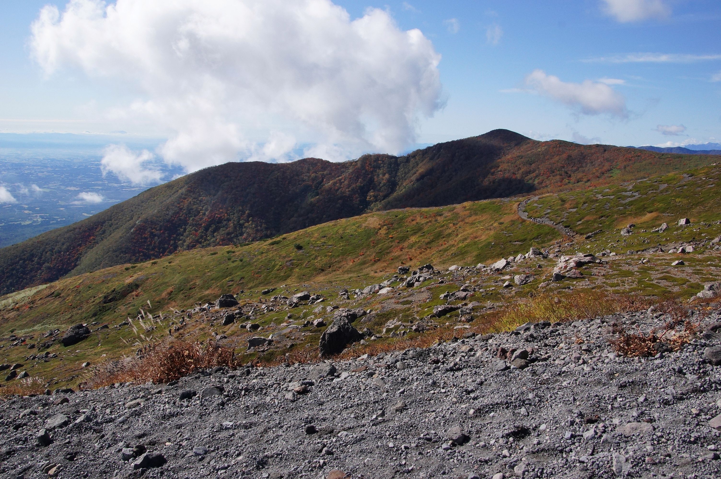 征露岳南武鑑 上 黒檜岳 (くろびだけ)：1,976m - 山と溪谷オンライン