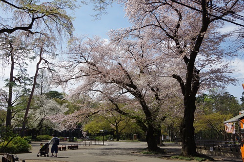 井の頭自然文化園