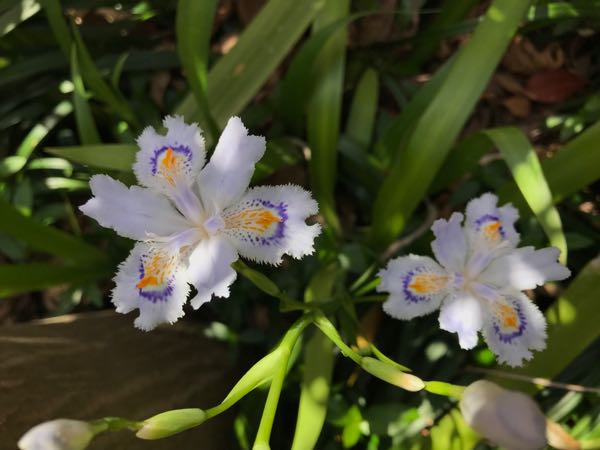 rblog-20180409192833-01.jpg