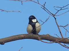 conv0674.JPG