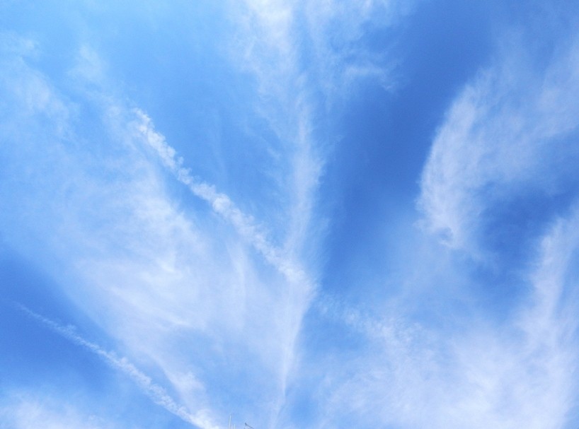 空5.JPG
