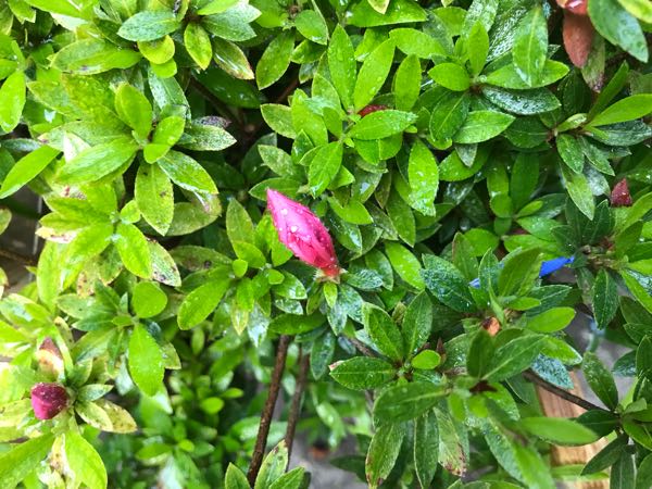 rblog-20180429182036-07.jpg