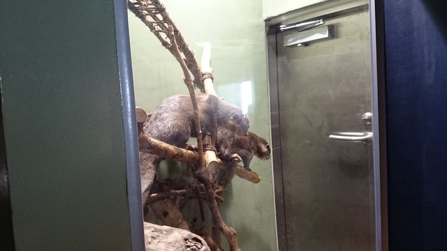 2015-08-23 11.30.11.jpg