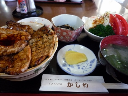 P1030919 (450x338).jpg