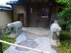 P1000950.JPG