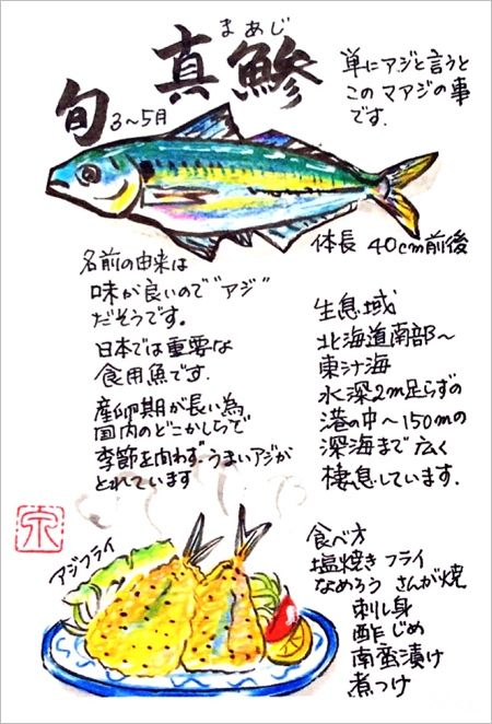 魚 イラスト 図鑑