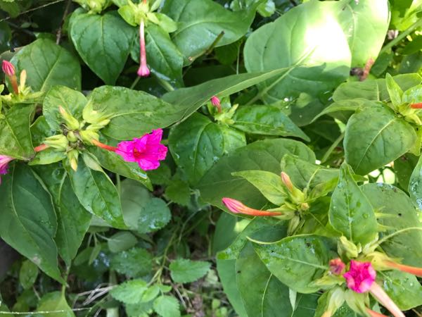 rblog-20171026190627-06.jpg