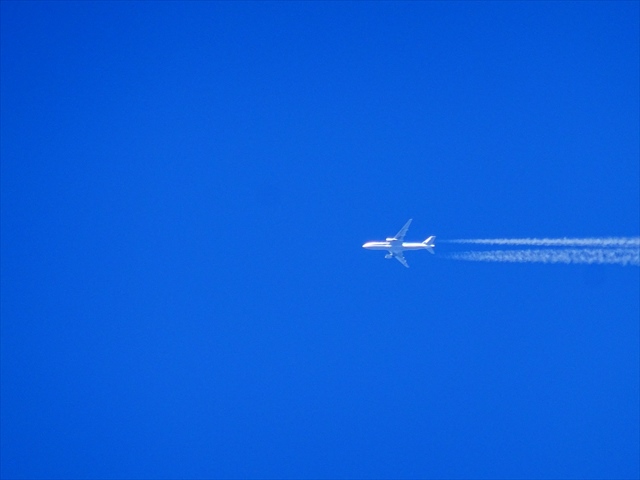 DSC08473_R.JPG