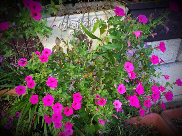 rblog-20160731172856-03.jpg