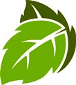 leaf0713.jpg
