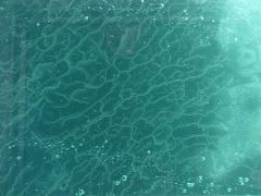 IMG_2202.jpg