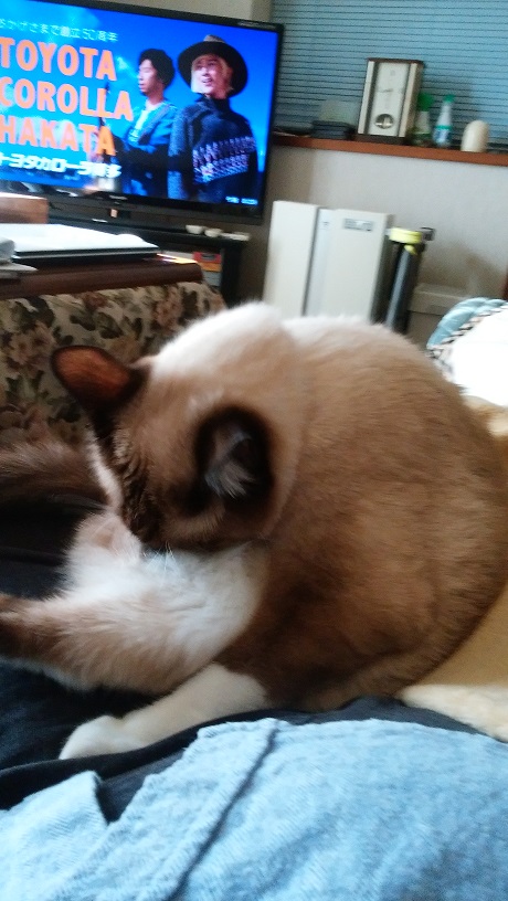 ライ