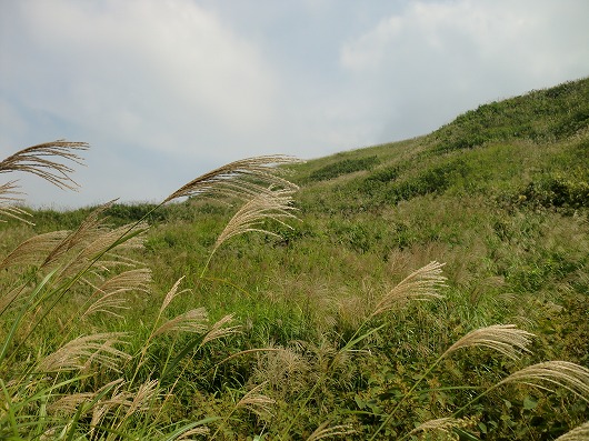 s-CIMG4932.jpg