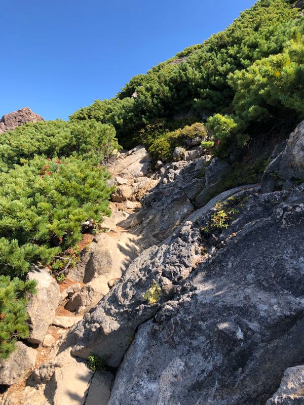 北海道 雌阿寒岳(1499m)日本百名山の1つを登山(2018年9月18日) 登り3時間 下り2時間 服装 持ち物リスト 標高差は800m