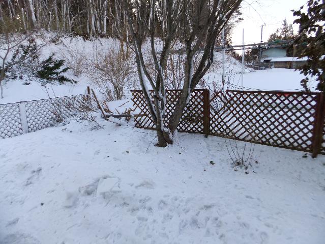 DSCF9655.jpg