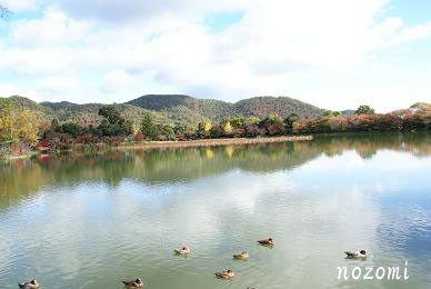 大覚寺大沢池
