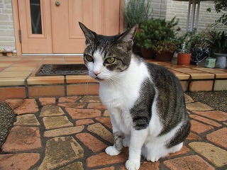 IMG_7988ss.jpg