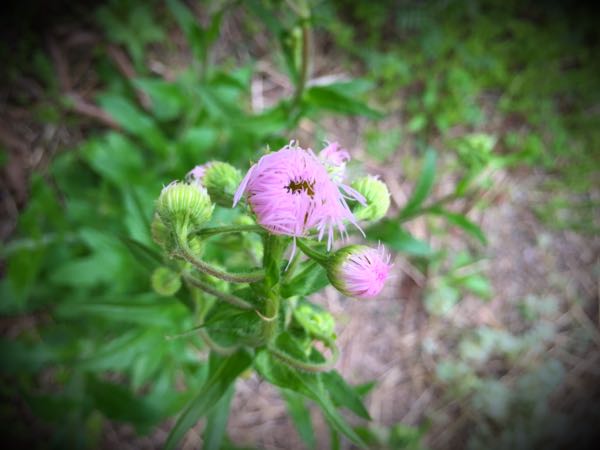 rblog-20160426005907-07.jpg