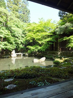 蓮花寺の池
